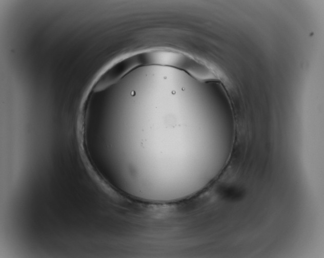 X0000099941526200805301207