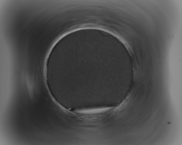 X0000099941527200805301207