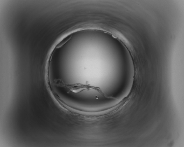 X0000099941528200805301207