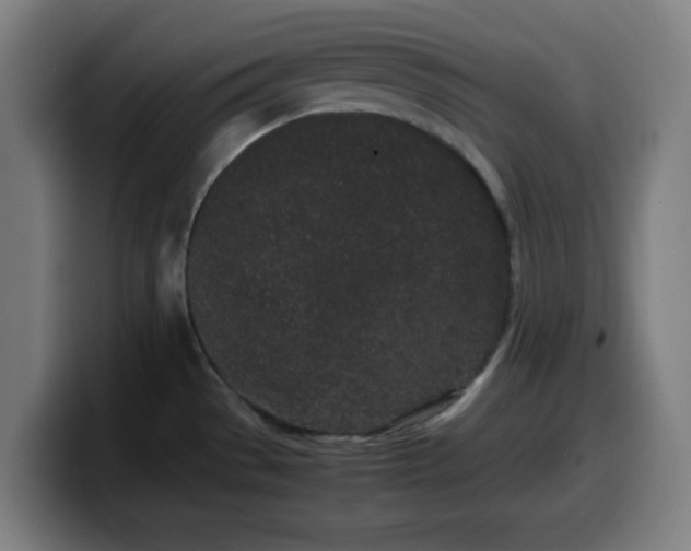X0000099941529200805301207