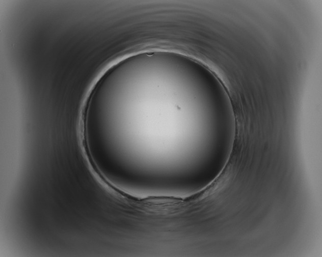 X0000099941531200805301207
