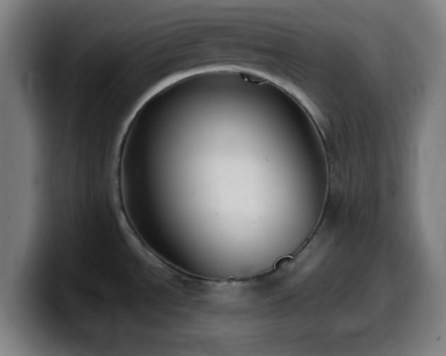 X0000099941534200805301207
