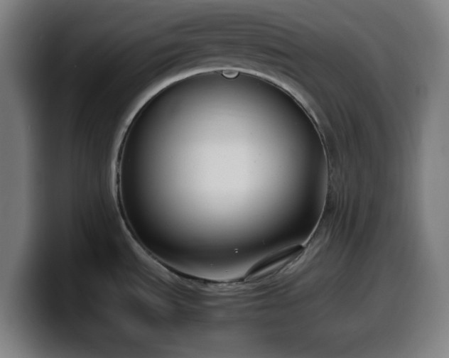 X0000099941535200805301207