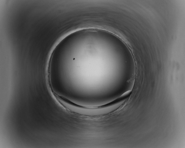 X0000099941536200805301207