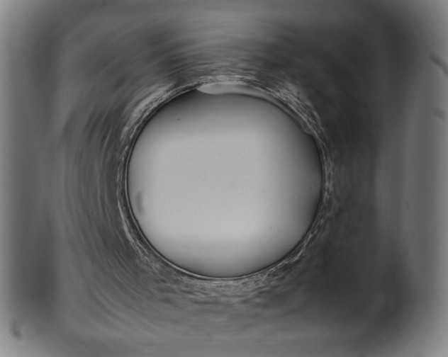 X0000099940001200806061530