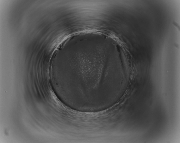 X0000099940002200806061530