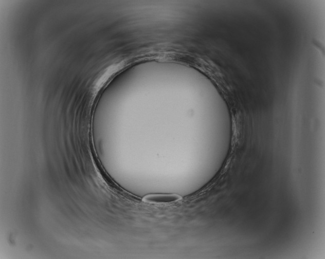 X0000099940003200806061530