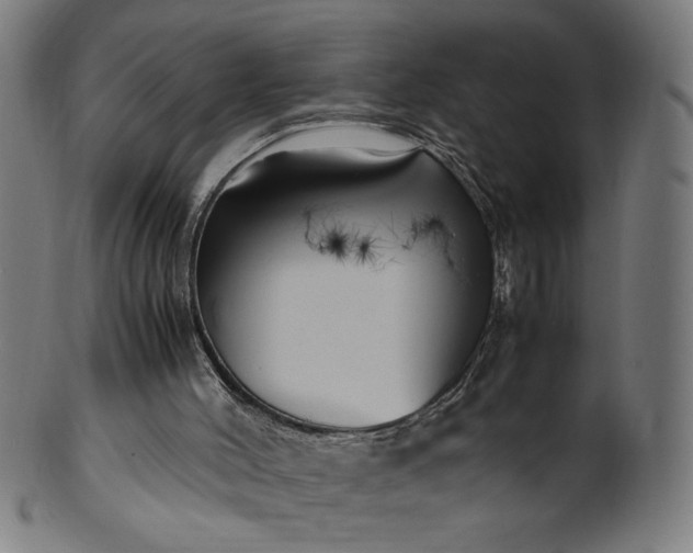 X0000099940004200806061530