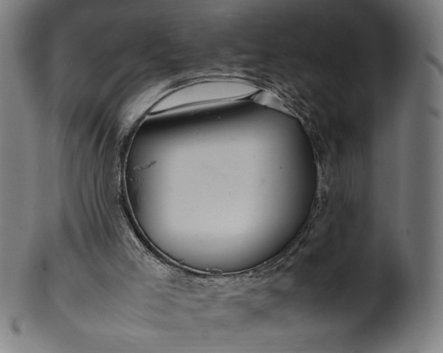 X0000099940005200806061530