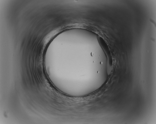 X0000099940006200806061530