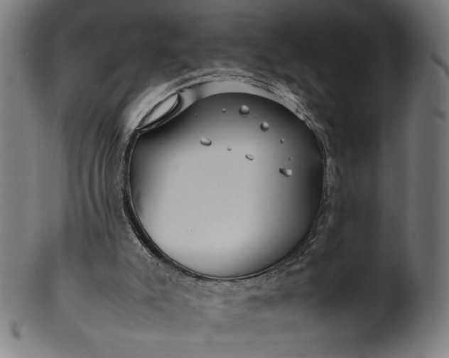 X0000099940007200806061530