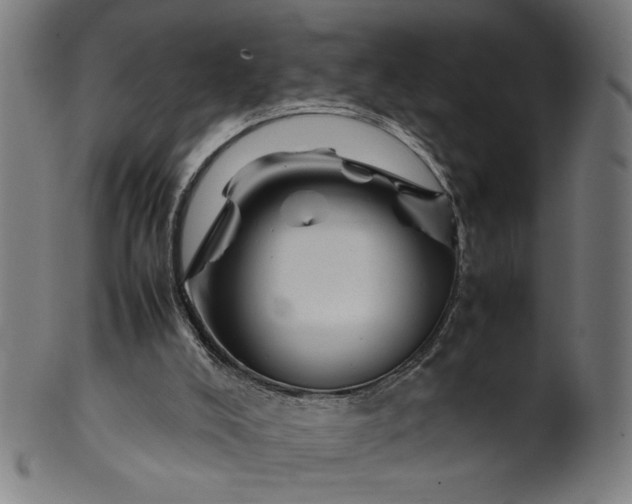 X0000099940008200806061530