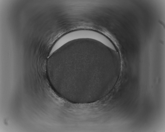 X0000099940009200806061530