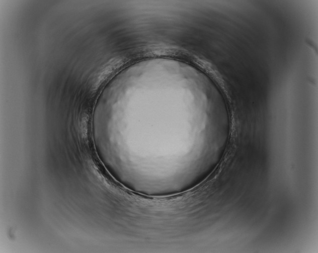 X0000099940010200806061530
