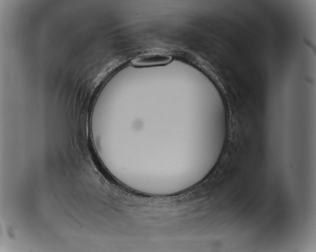 X0000099940011200806061530