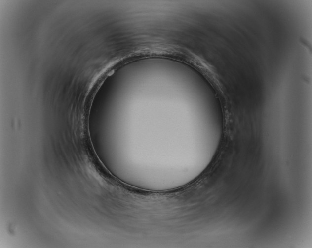 X0000099940012200806061530