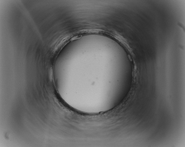 X0000099940013200806061530