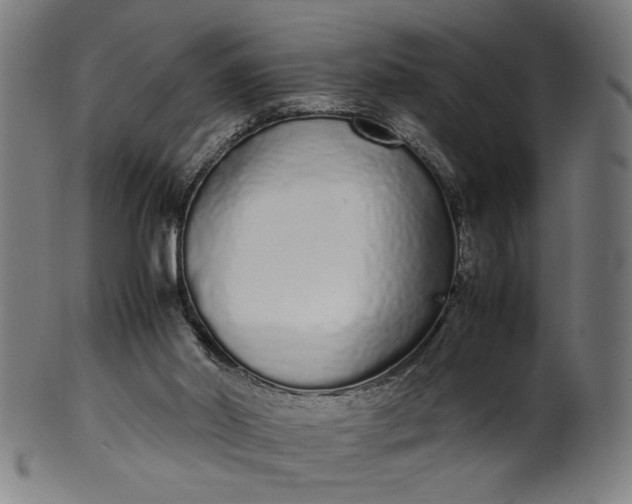 X0000099940014200806061530