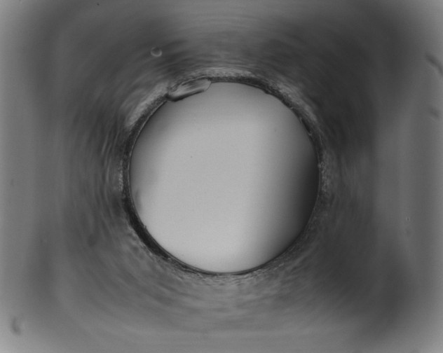 X0000099940015200806061530