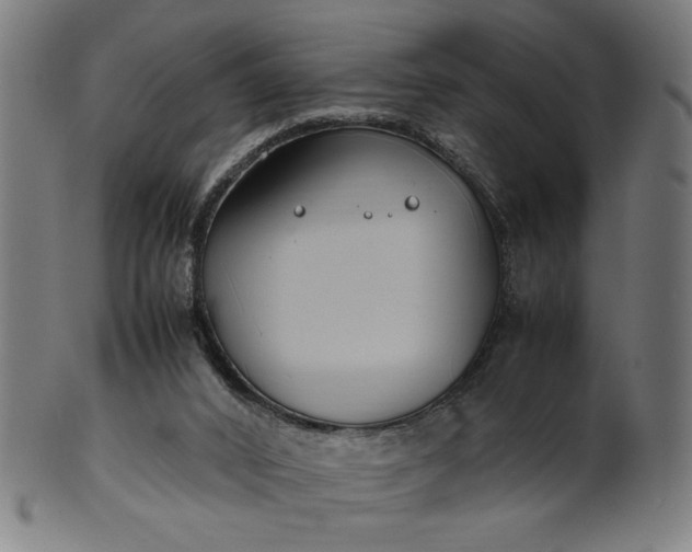 X0000099940016200806061530