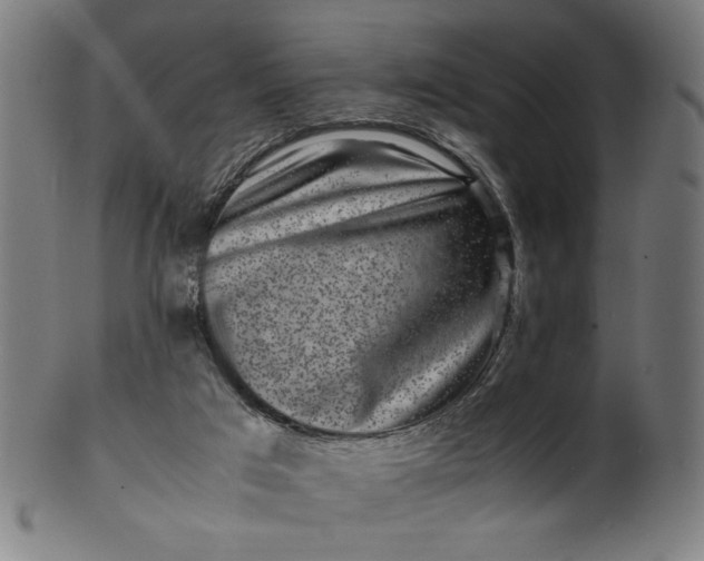 X0000099940017200806061530