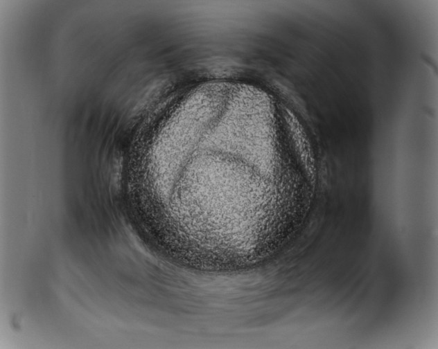 X0000099940018200806061530