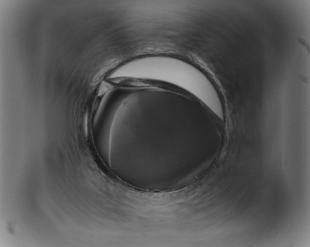 X0000099940019200806061529
