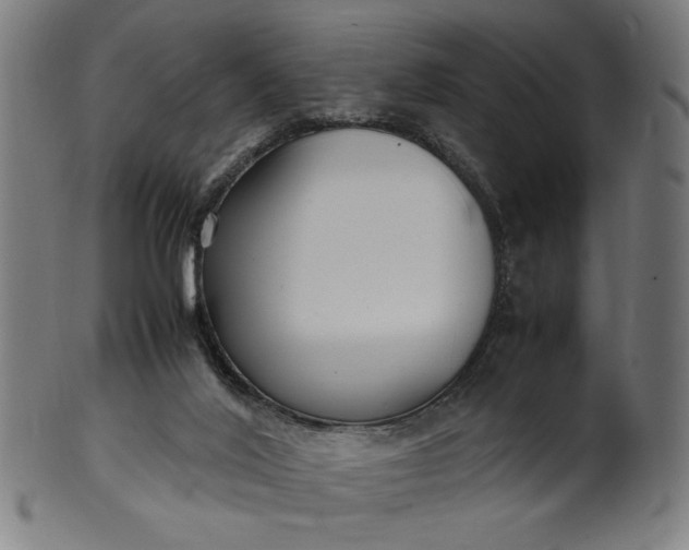 X0000099940020200806061529