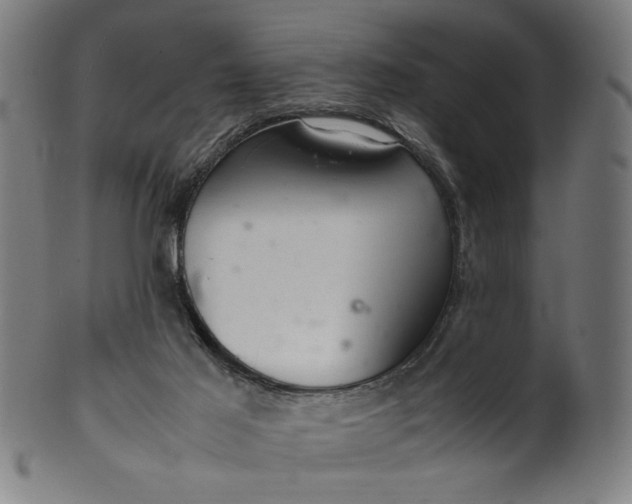 X0000099940021200806061529