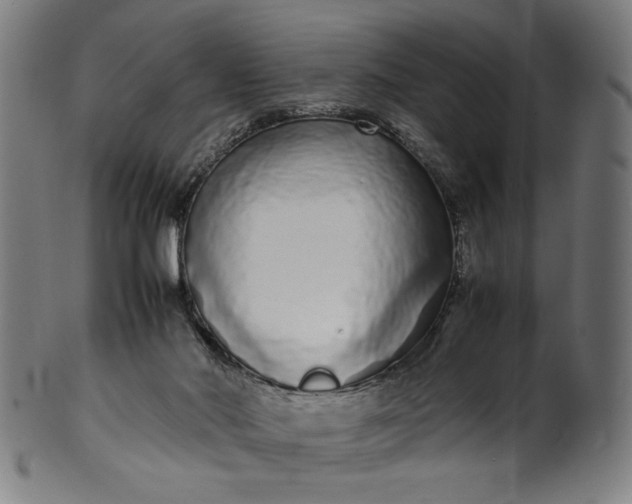 X0000099940022200806061529