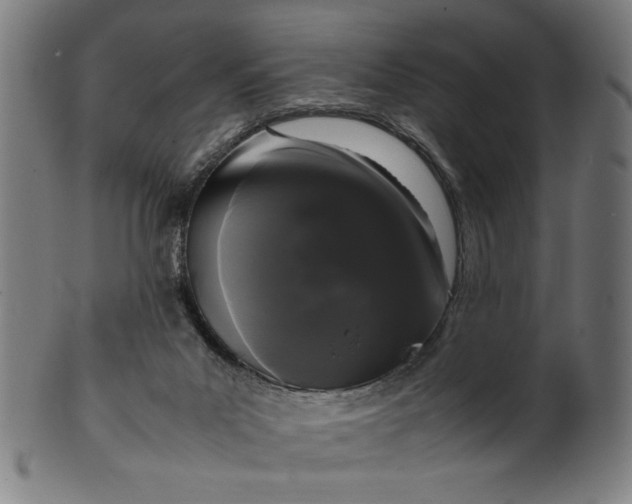 X0000099940023200806061529