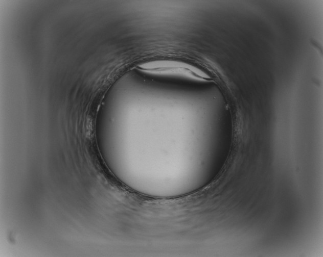 X0000099940025200806061529