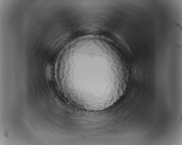 X0000099940026200806061529