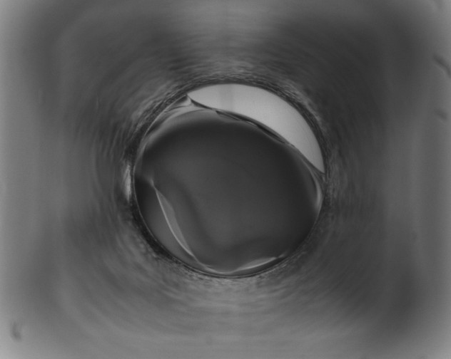 X0000099940027200806061529