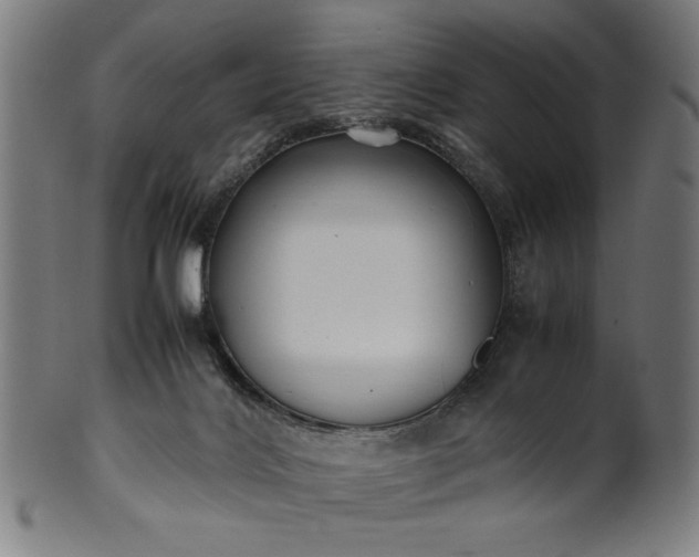 X0000099940028200806061529
