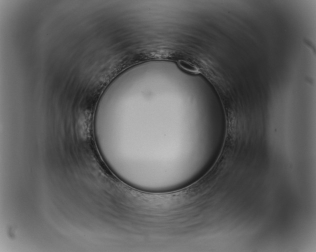 X0000099940030200806061529