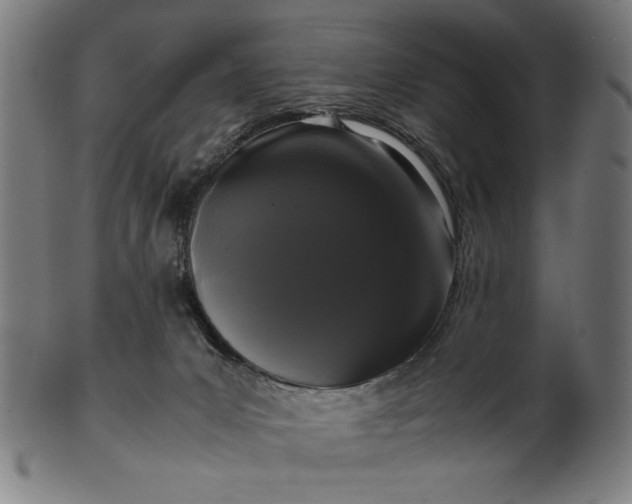 X0000099940031200806061529