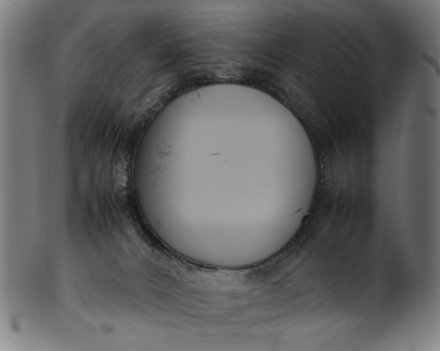 X0000099940032200806061529