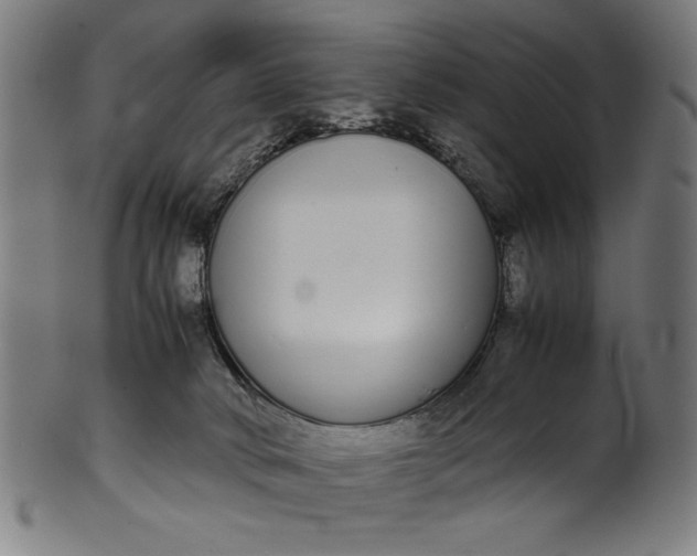 X0000099940034200806061529