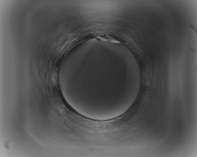 X0000099940035200806061529