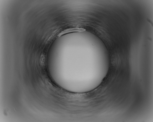 X0000099940036200806061529