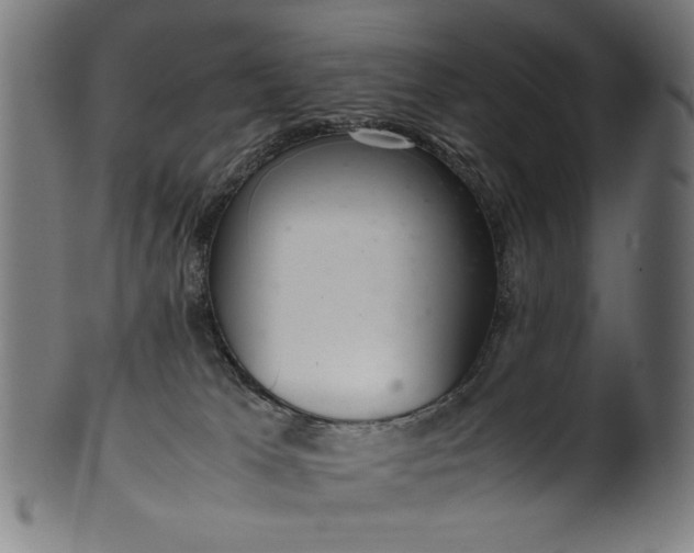X0000099940037200806061529