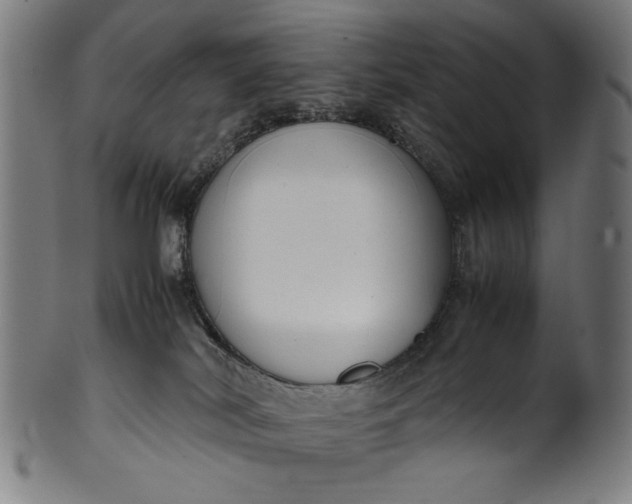 X0000099940038200806061529