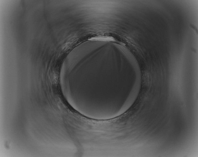 X0000099940039200806061529
