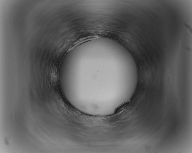 X0000099940040200806061529