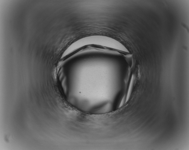 X0000099940041200806061529