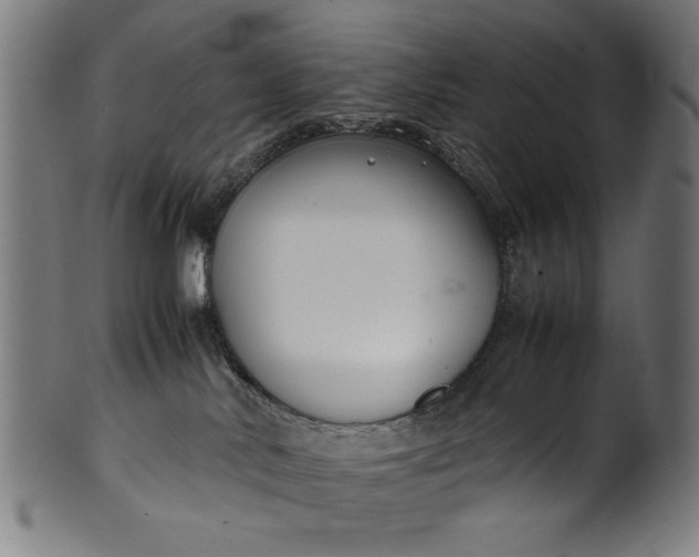 X0000099940042200806061529