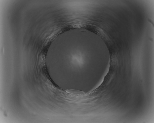 X0000099940043200806061529