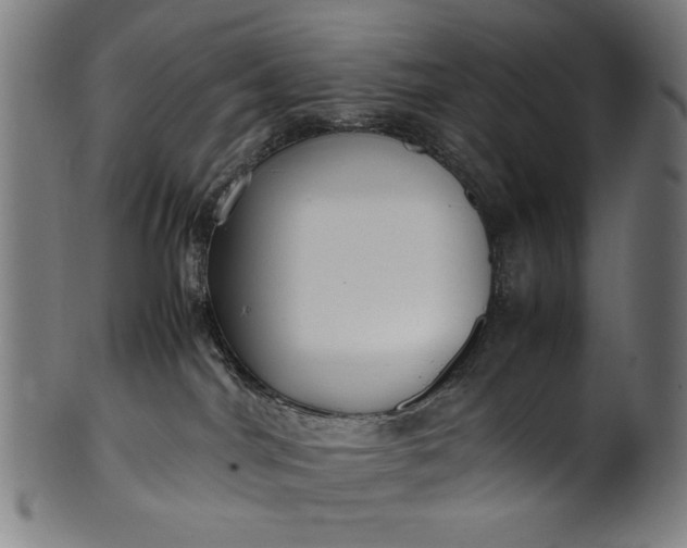 X0000099940044200806061529