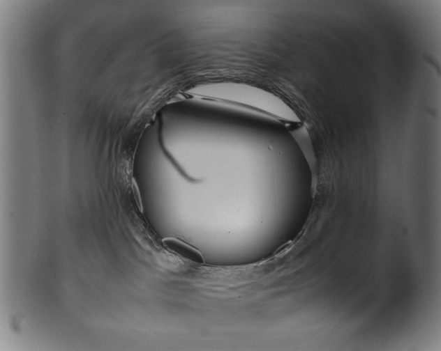 X0000099940045200806061529
